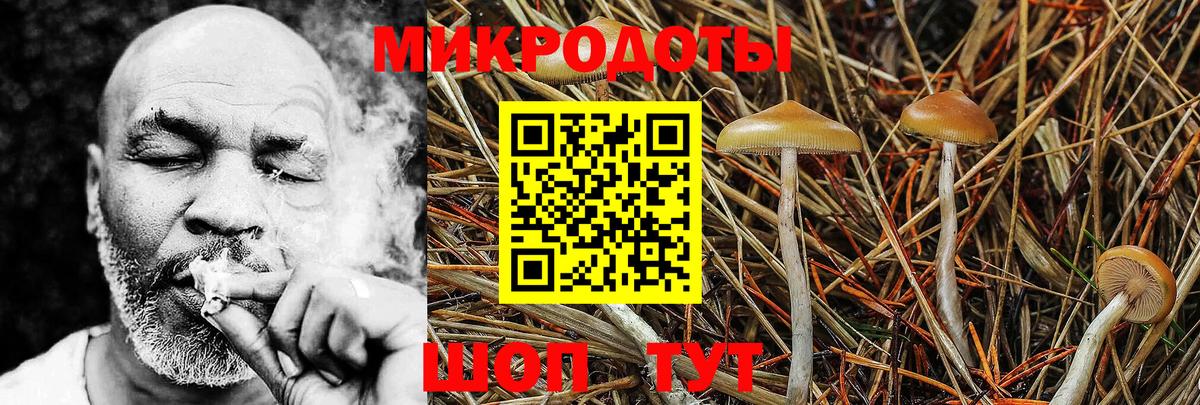даркнет сайт  Вход с VPN  Северобайкальск  Галлюциногенные грибы Cubensis 