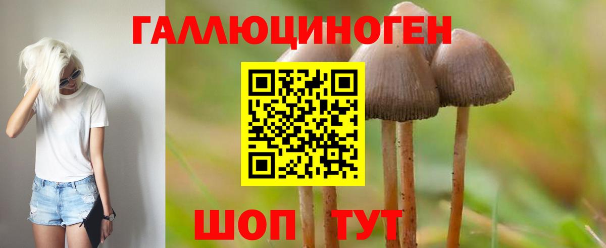 Псилоцибиновые грибы ЛСД Северобайкальск
